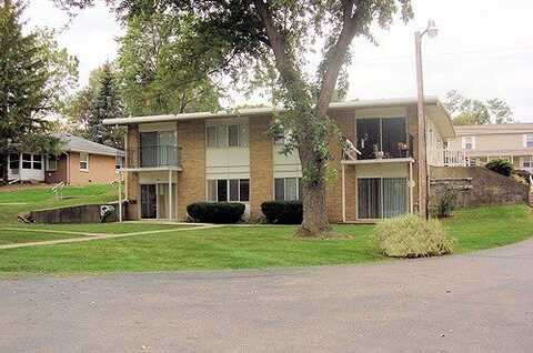313 TECUMSEH, Brooklyn, MI 49230