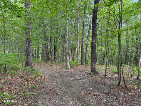Slaven Ridge Rd, Jamestown, TN 38556