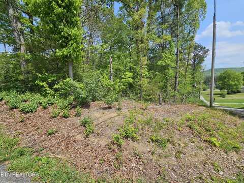 Sutherland Drive, Helenwood, TN 37755
