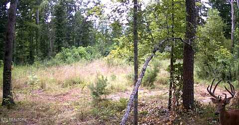 Junaluska Drive, Jamestown, TN 38556