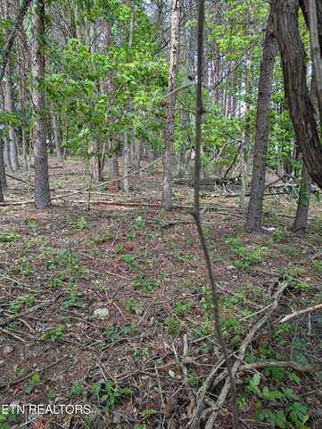 Foster Road, Blaine, TN 37709