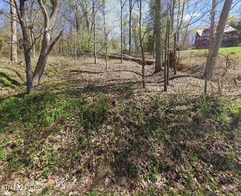 00 Johnson LN, Ten Mile, TN 37880
