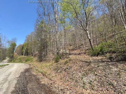 Blue Creek Road, Elkview, WV 25071