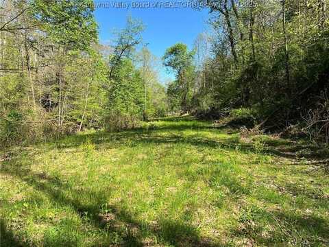 0 Upper Mud River Road, Hamlin, WV 25523