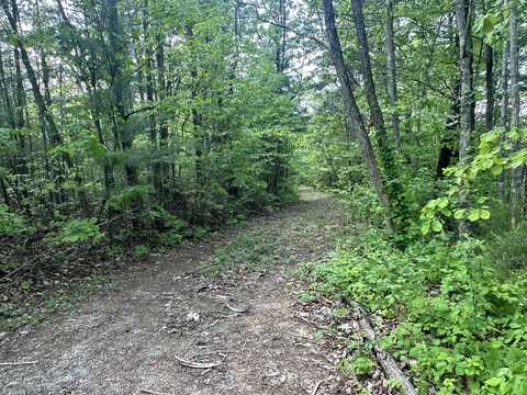 1286 Youngblood Way, Cosby, TN 37722