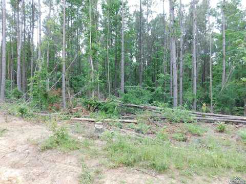 Tbd MEGAN MILLS RD, Gilmer, TX 75644