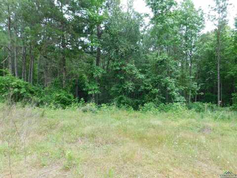 Tbd MEGAN MILLS RD, Gilmer, TX 75644