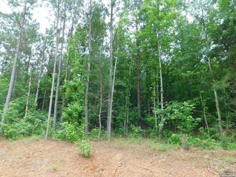Tbd MEGAN MILLS RD, Gilmer, TX 75644