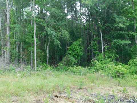 Tbd GROUNDHOG RD, Gilmer, TX 75644