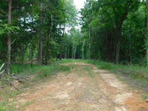 Tbd GROUNDHOG RD, Gilmer, TX 75644