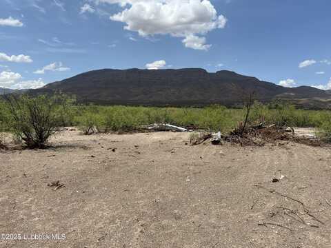 Lots 11-24 Sec 65 Block 2 T&P Presidio County, Presidio, TX 79845