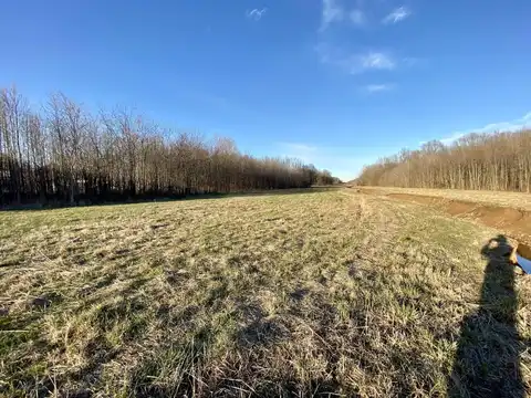 4300 US-62, Calvert City, KY 42029