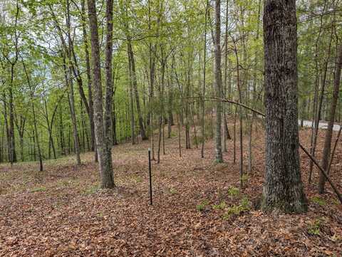 15 Sunrise Mountain Retreat Road, Beattyville, KY 41311