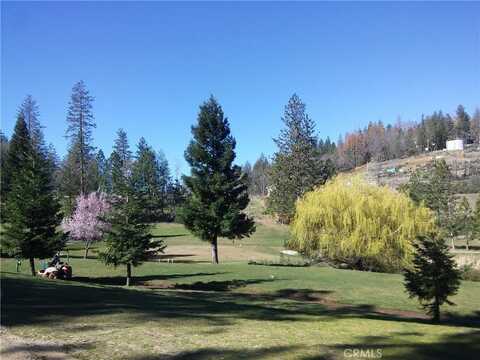 14636 Lema Lane, Cobb, CA 95426