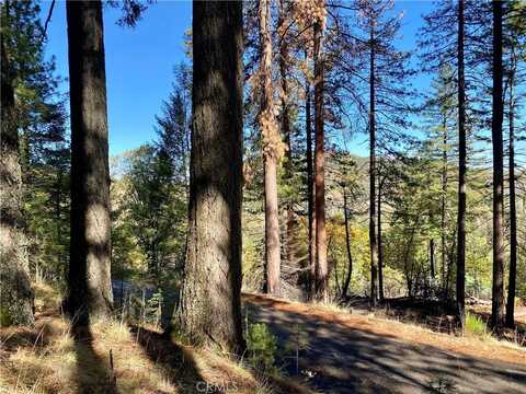 9689 Elliott Drive, Cobb, CA 95426