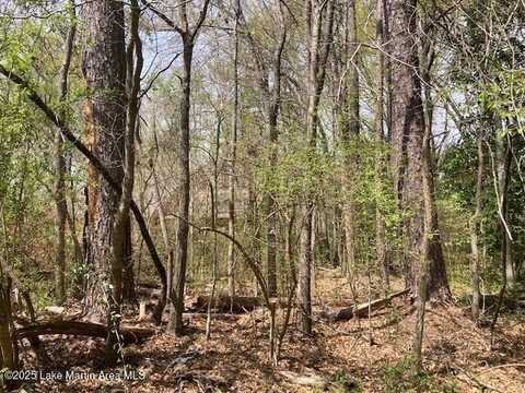 8 Lots Maplewood Ln Ext, Alexander City, AL 35010