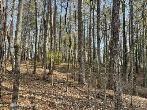 Lot 70 Restful Cove, Dadeville, AL 36853