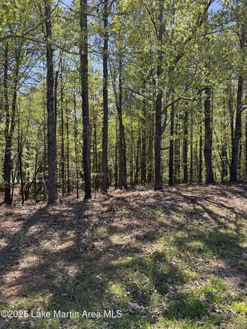 24A Larkspur Ln, Jacksons Gap, AL 36861