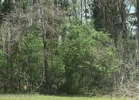 4 Lots Maplewood Ln Ext & Hickory Cir, Alexander City, AL 35010