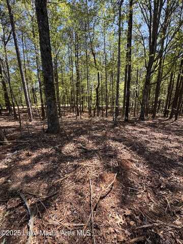 25A Larkspur Ln, Jacksons Gap, AL 36861