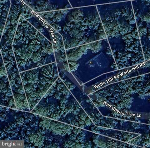 LOTS 36-38 WILD CHERRY TREE LN, HARPERS FERRY, WV 25425