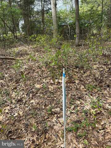 PARCEL 91 COOL SPRING, MARYDEL, MD 21649