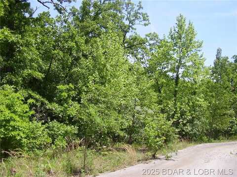20 Silver Spur Court, Camdenton, MO 65020