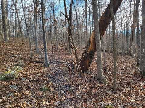 Lazy Acres Lots Road, Edwards, MO 65326