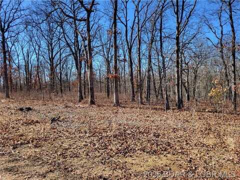 Anne Drive, Edwards, MO 65326