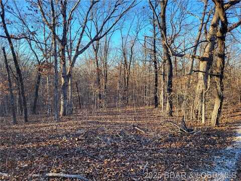 Wenzel Place, Edwards, MO 65326