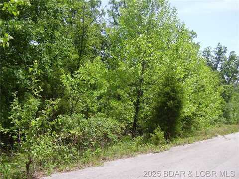 19 Silver Spur Court, Camdenton, MO 65020
