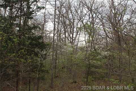 15516 Highway P, Gravois Mills, MO 65037