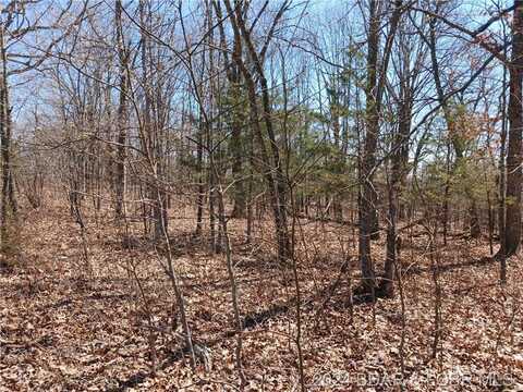 TBD Fresno Lane, Versailles, MO 65084