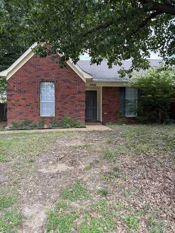 3905 MOSS BANK, Unincorporated, TN 38135