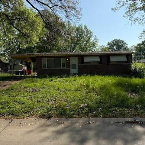 9732 Glen Owen Drive, Saint Louis, MO 63136