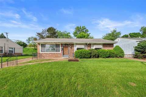 4144 Davis Street, Saint Louis, MO 63123