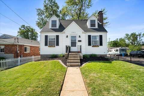 252 W Ripa Avenue, Saint Louis, MO 63125