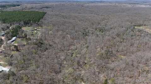 40 Ac Roderick Road, Cadet, MO 63630