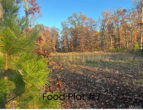 0 Tract 2 (160+/- acres) Lodge Road, Potosi, MO 65441