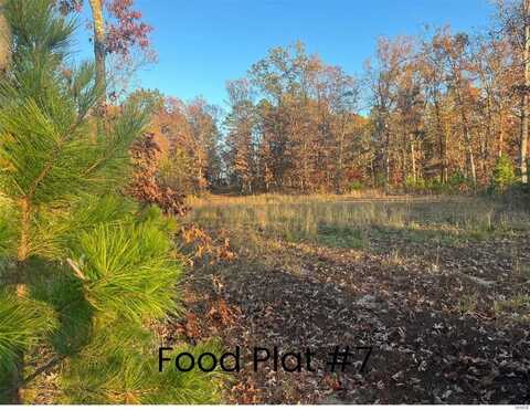 0 Tract 2 (160+/- acres) Lodge Road, Potosi, MO 65441