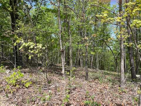 0 County Road 418, Piedmont, MO 63957