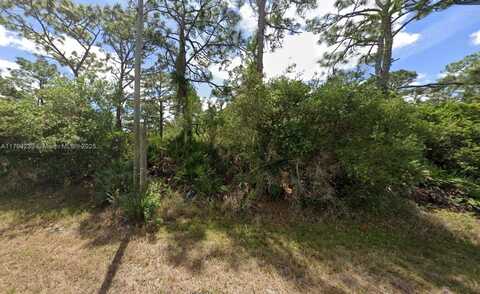 430 NW Tiger St, Lake Placid, FL 33852