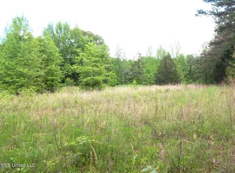 1015 Saulsbury Road, Falkner, MS 38629