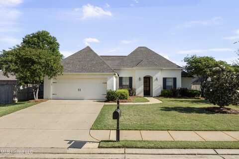 207 Stillhouse Drive, Madison, MS 39110