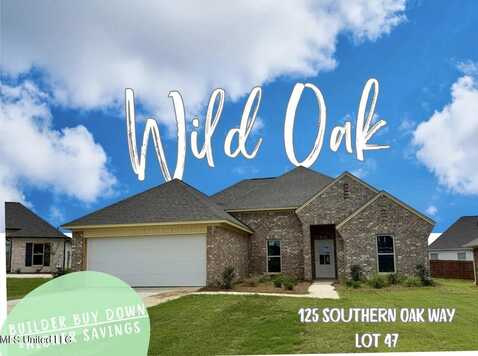 125 Southern Oak Way, Canton, MS 39046
