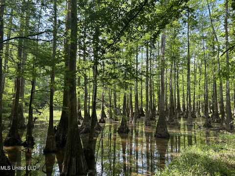 Us-98, Mc Lain, MS 39456
