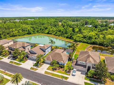 9632 ASBEL ESTATES STREET, LAND O LAKES, FL 34638