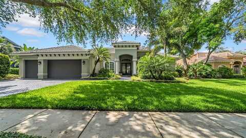 15507 AVOCETVIEW COURT, LITHIA, FL 33547
