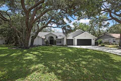 7233 ROYAL OAK DRIVE, SPRING HILL, FL 34607