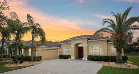 20254 RAVENS END DRIVE, TAMPA, FL 33647